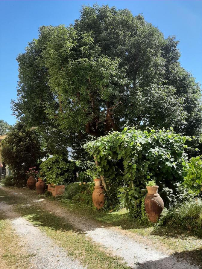 Antica Fattoria La Verdina Camaiore Exterior photo