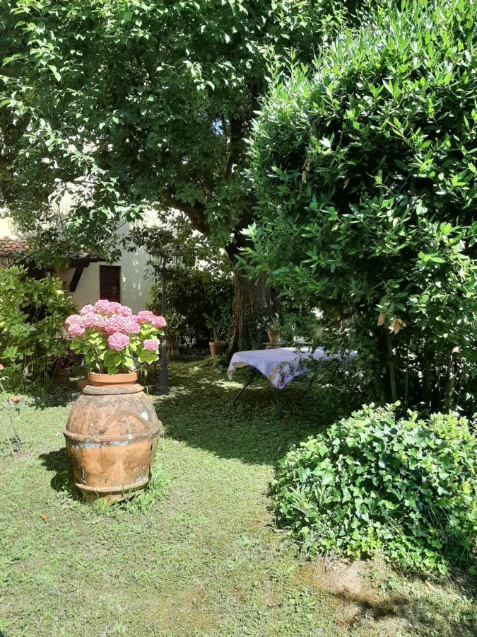 Antica Fattoria La Verdina Camaiore Exterior photo